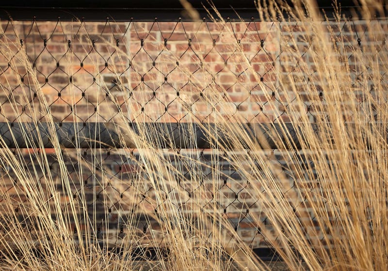 The High Line Park preview 5